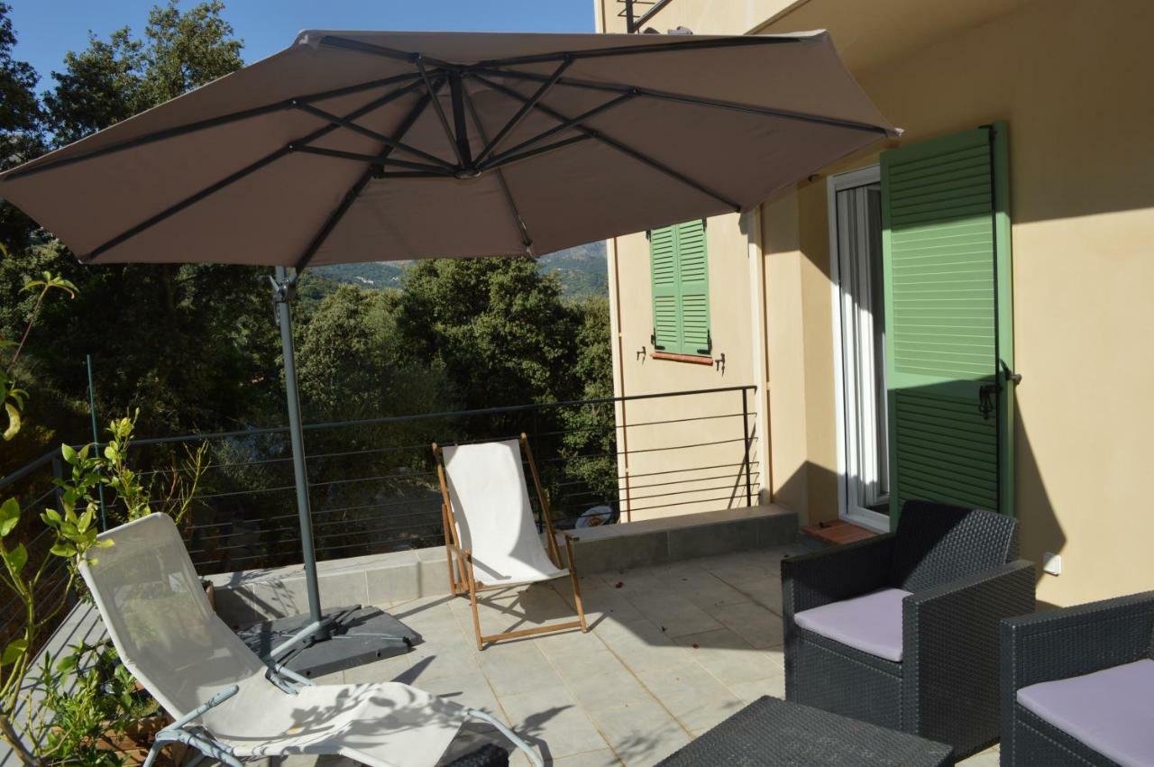 La Villa Volpaso Belgodère Exterior foto
